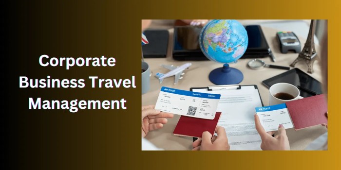 Enterprise travel management