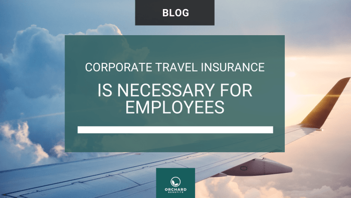Emergency travel insurance corporate