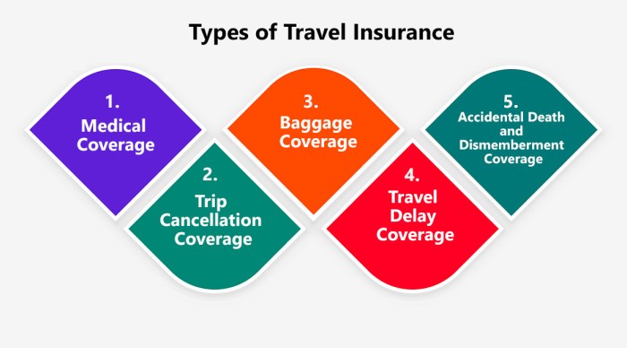 Executive travel insurance