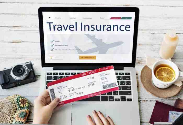 Business travel insurance