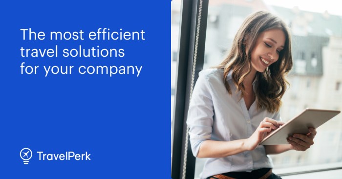 Business travel management solutions