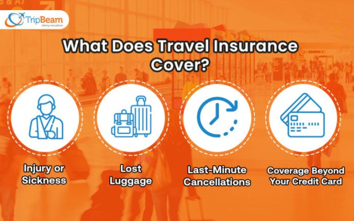 Executive travel insurance
