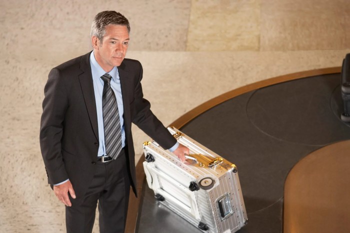 Insurance international travel article like