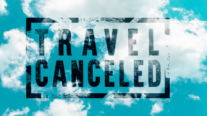 Global travel insurance for businesses